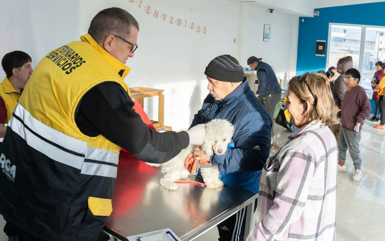 photo_5095919207571983230_y