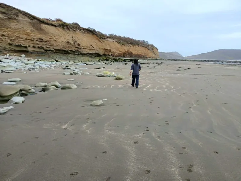 4936447226486567335