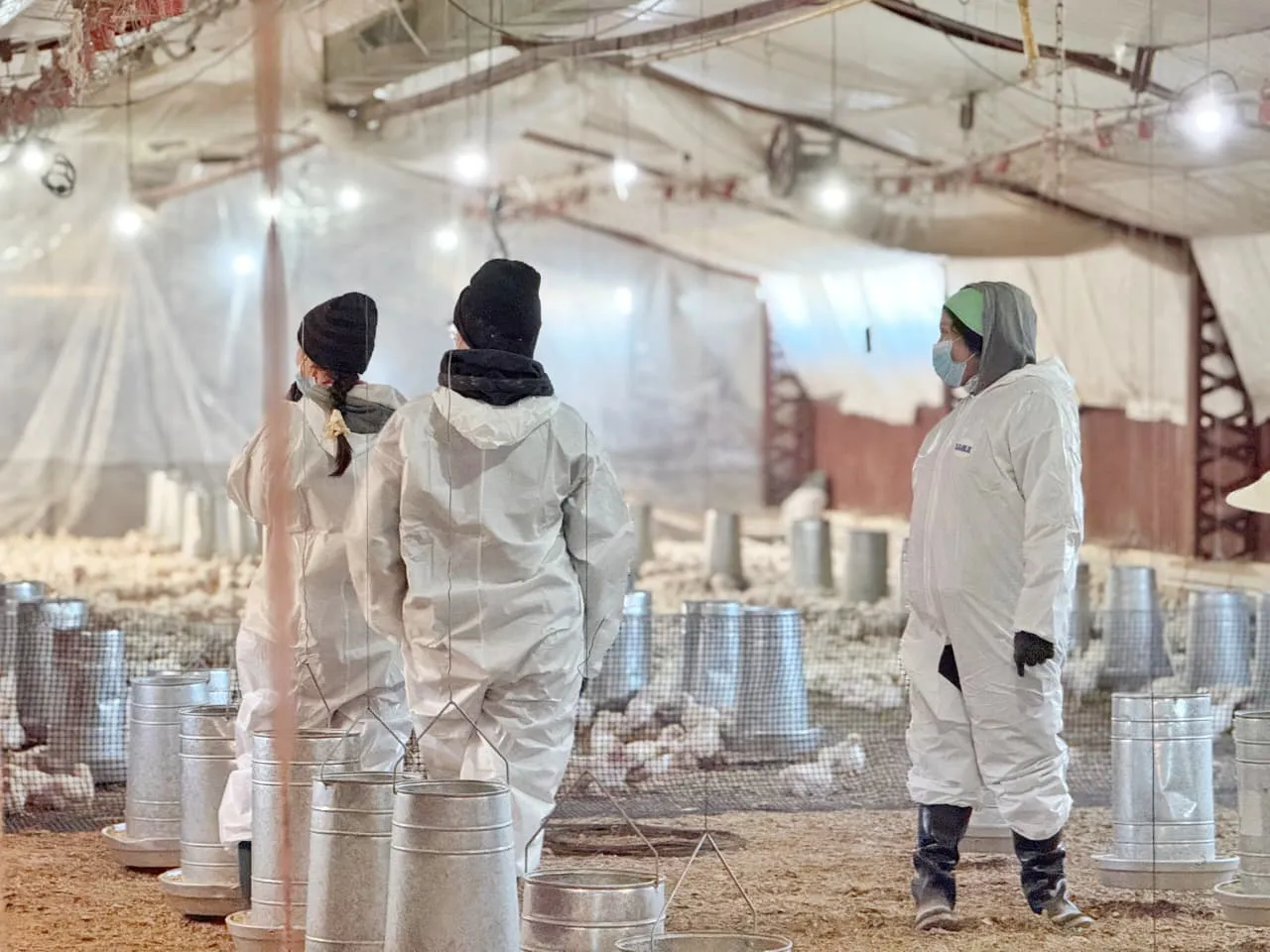 photo_5093982026997631759_y