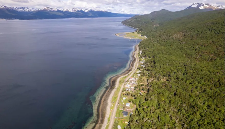 20250907190122_photo-5039980612907282015-y