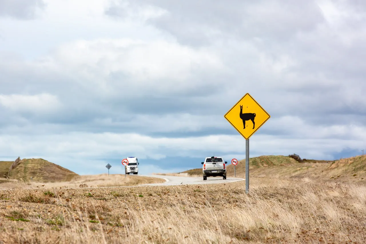 photo_5046461907535507155_y