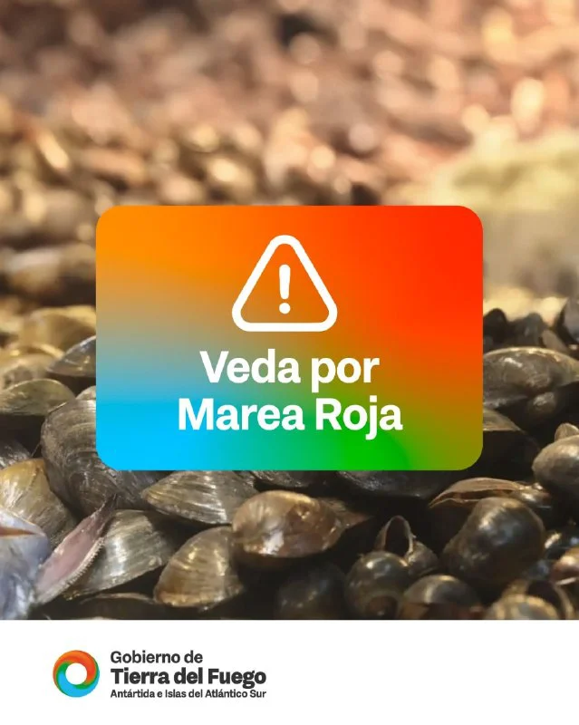 5127817809420291357
