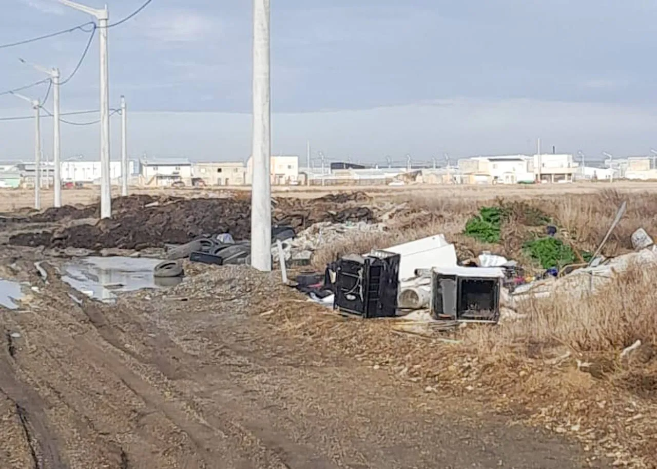 photo_4985808864712699800_y