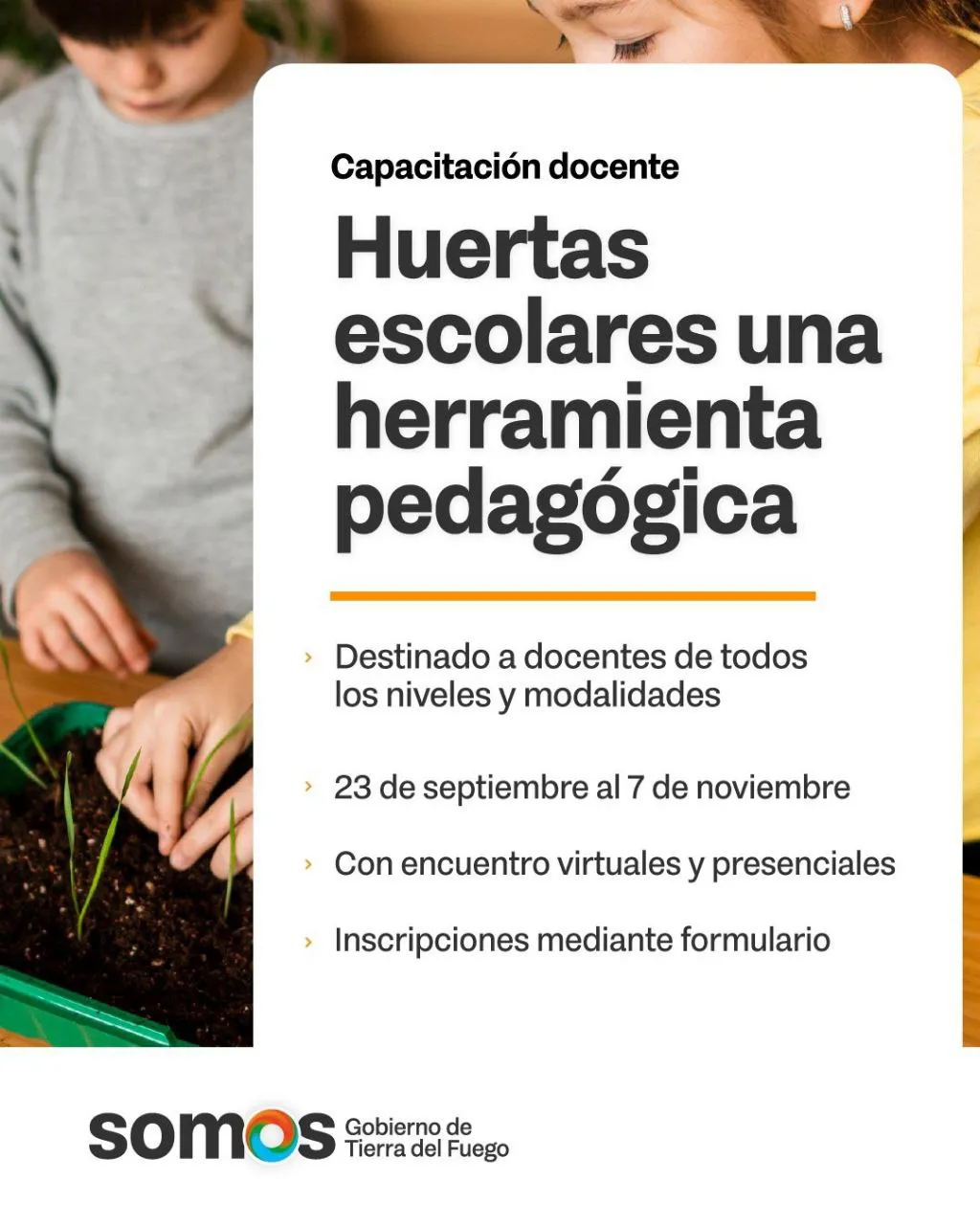 photo_5078000170221374223_y