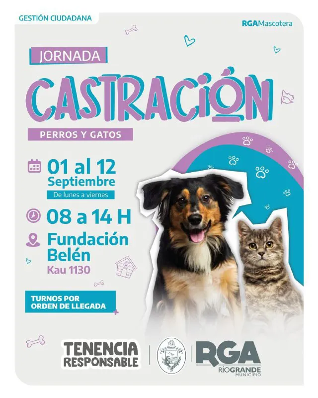 photo_5024026810857401958_x