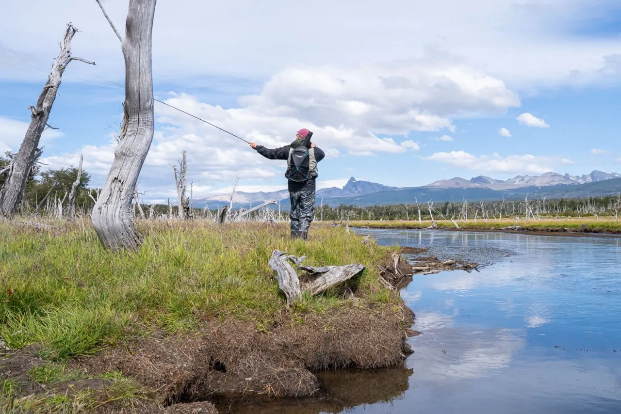 4909359232826673947 (1)